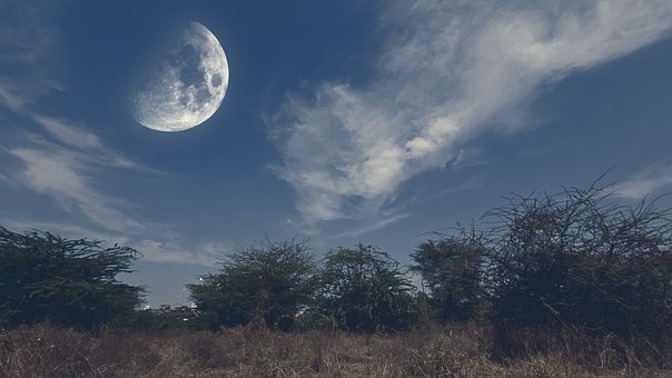 Free Stunning Summer photo and picture