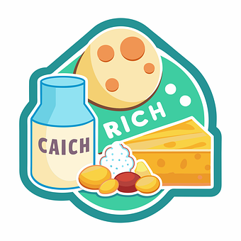 Lácteos, Calcio, Rico, Comida, Leche