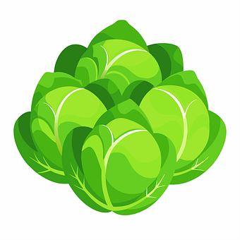 Verde, Repollo, Vegetal, Comida, Planta