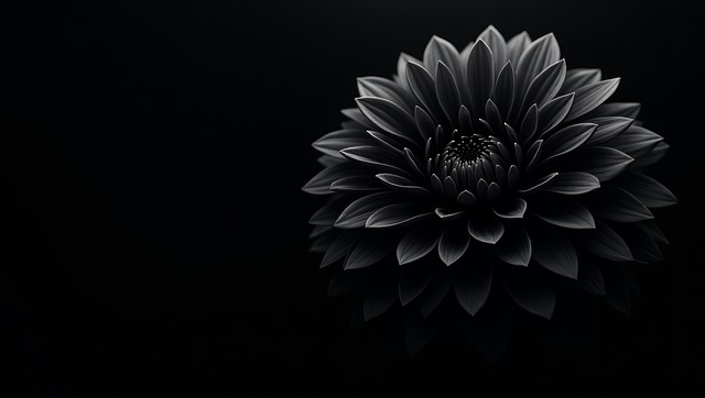Free ai generated black dahlia dark flower illustration
