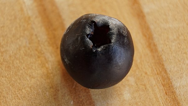 Free Blueberry Berry photo and picture