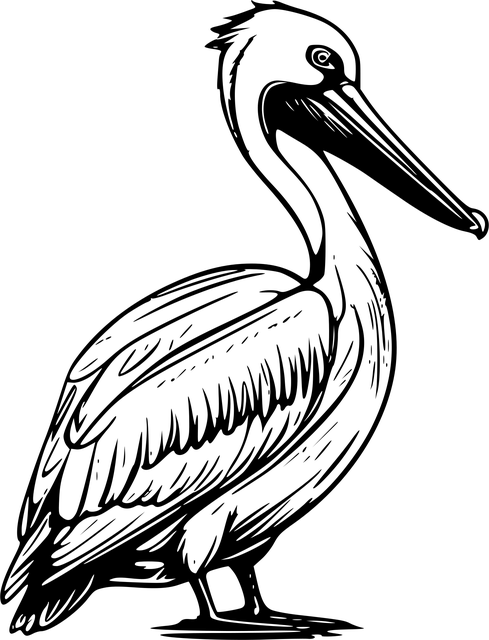 Free ai generated pelican bird illustration