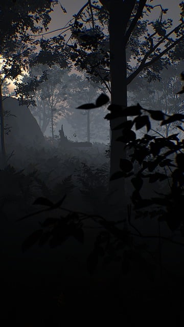 Free Culture Forest illustration and picture