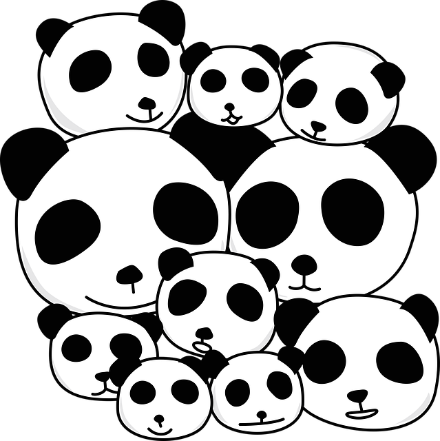 Free Panda Animal vector and picture