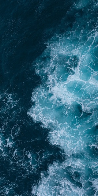 海, 海水, 海浪, 海洋, 鸟瞰图, 海景