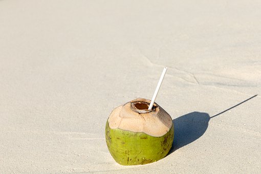 Free Coconut Beach photo and picture