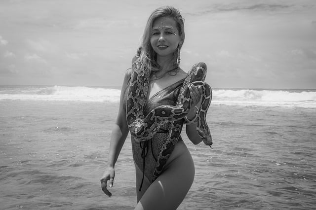 Free Woman Python photo and picture