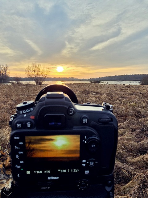 Nikon, Kamera, Fotografering, Digital