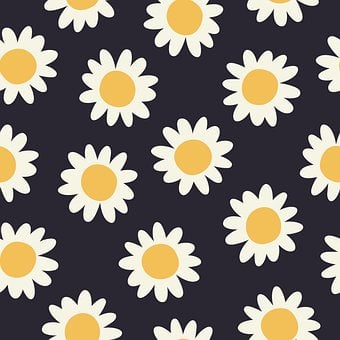 Blomster, Mønster, Tusindfryd, Natur