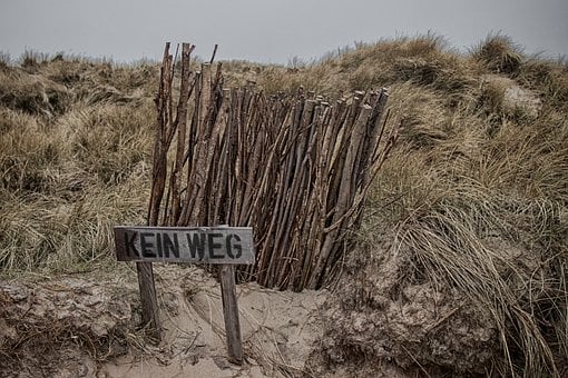 Free Sylt Nature photo and picture