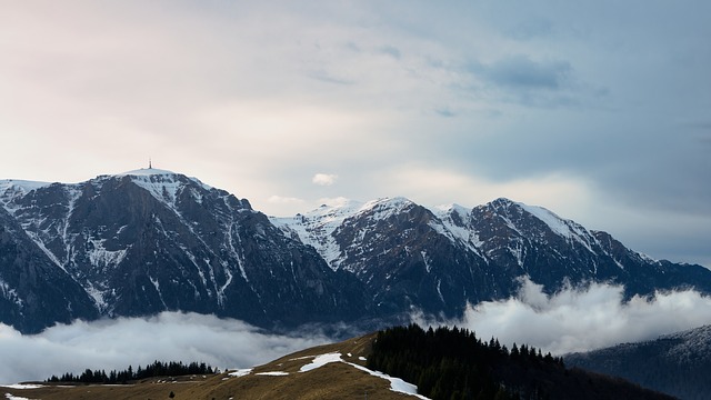 Free mountains forest ice illustration