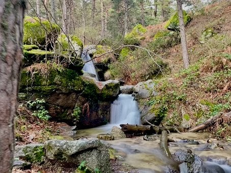 Waterval, Natuur, Forest, Water, Rivier