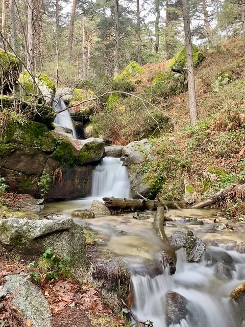 Waterval, Natuur, Forest, Water, Rivier