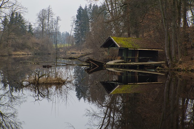 Huis, Natuur, Landschap, Meer, Bomen