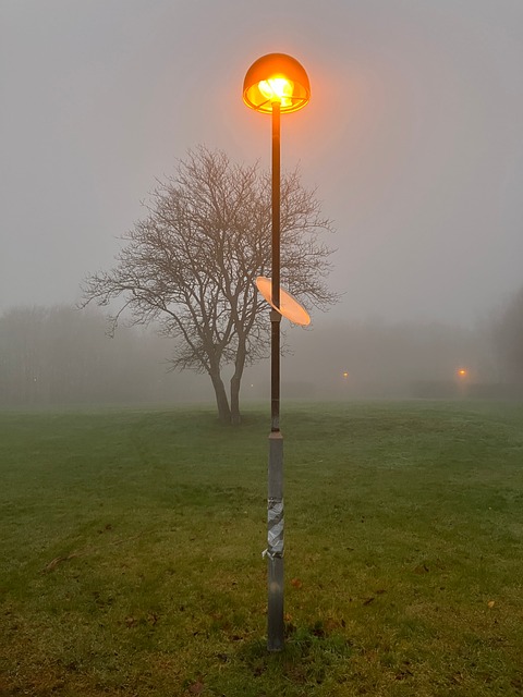 Free Fog Landscape photo and picture