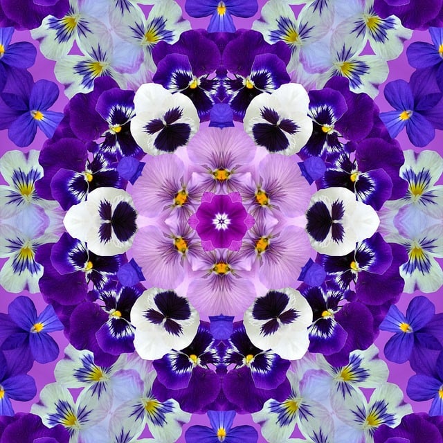 Free pattern texture pansies illustration