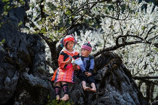 Niños, Fondo De La Flor