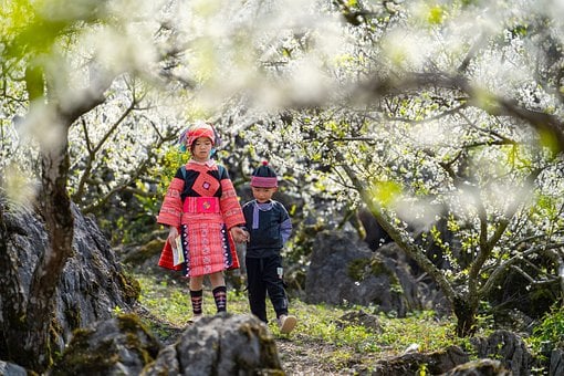 Niños, Vietnam, Naturaleza