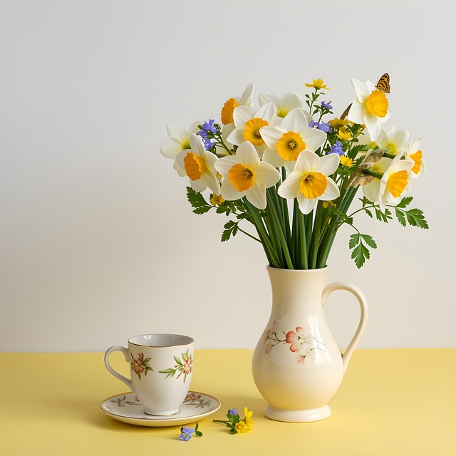 Free spring flowers daffodil spring illustration