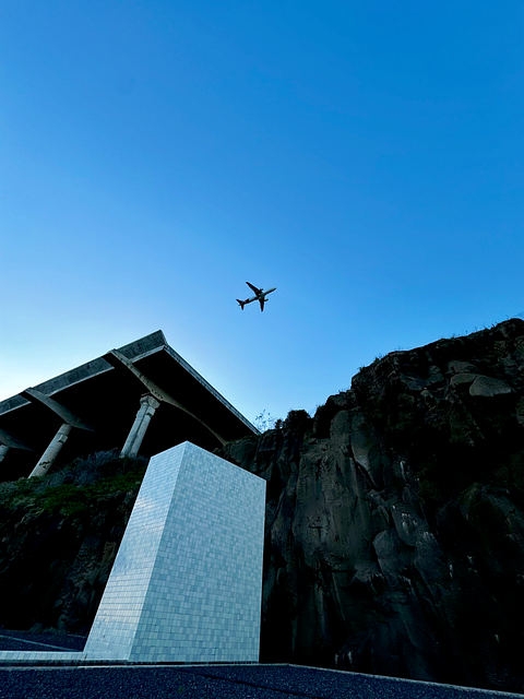 Free Plane Airplane photo and picture
