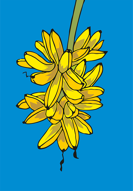 Plátano, Fruta, Dibujos Animados