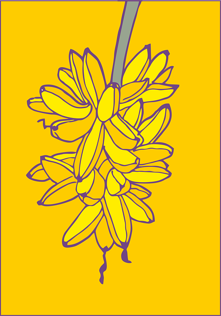 Free banana fruit cartoon illustration