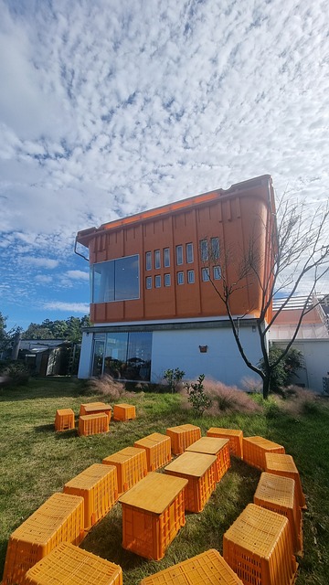 Free Jeju Island Tangerine Box photo and picture