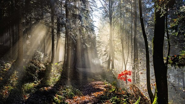 Free Lavanttal Carinthia photo and picture