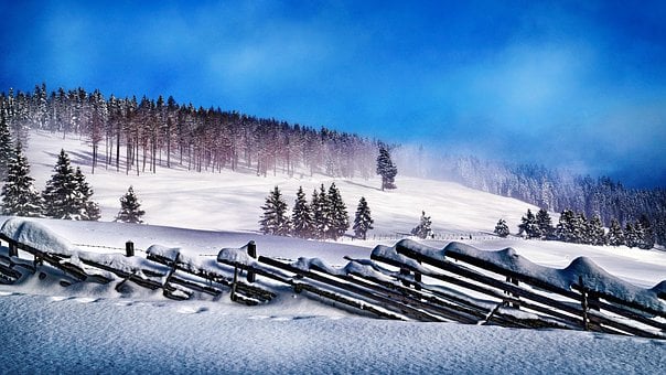 Free Winter Snow photo and picture