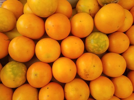 Free Orange Fruit photo and picture