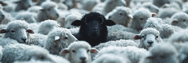 Free ai generated sheep contrast illustration