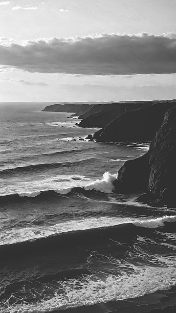 Free Beach Nature photo and picture