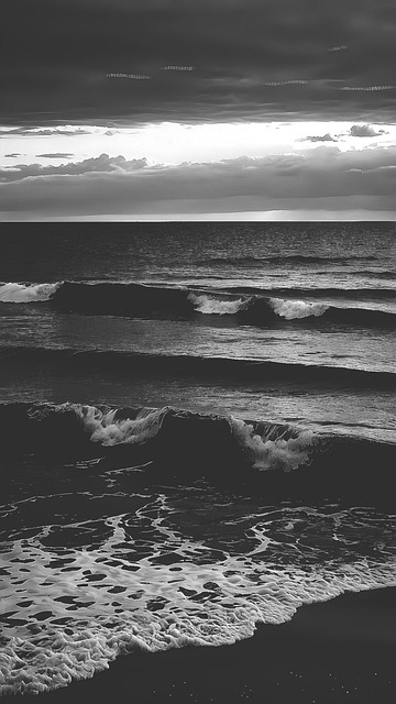 Free Iphone Nature photo and picture