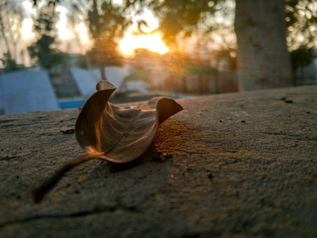 Free Nature Autumn photo and picture