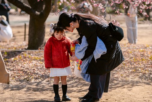 Free Japan Sakura photo and picture