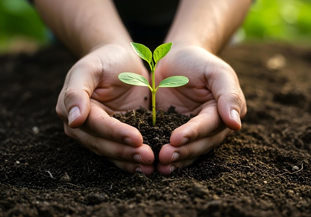 Free plant growth spring illustration
