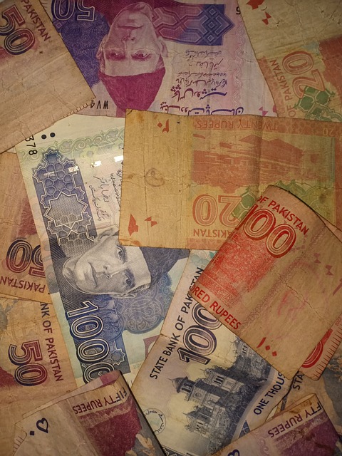 Free Pakistani Currency Rupee Notes photo and picture