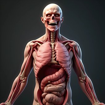 Free Ai Generated Body illustration and picture
