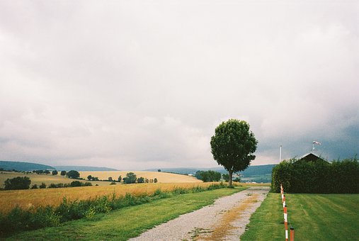 Analog, Yashica, Retro, Humør, Tåke