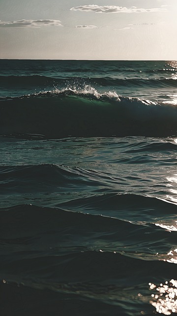 Free Ocean Sea photo and picture