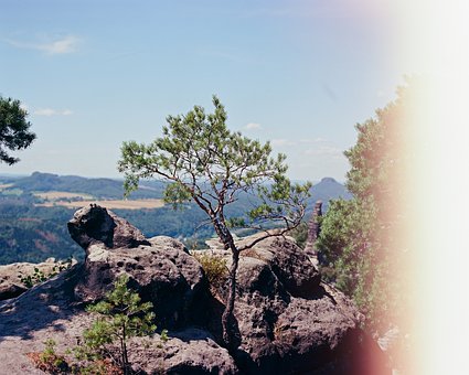 Stein, Elbe Sandstein Fjellet, Sachsen