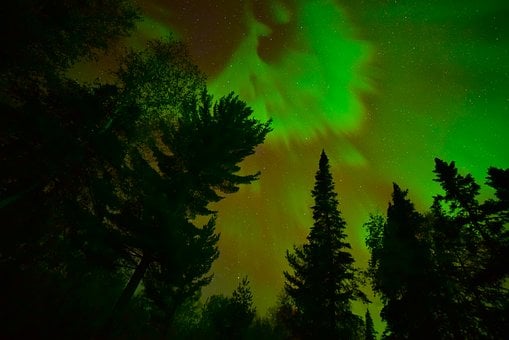 Woud, Aurora Borealis, Nachthemel