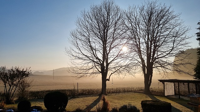 Morgenstimmung, Sonnenaufgang, Natur
