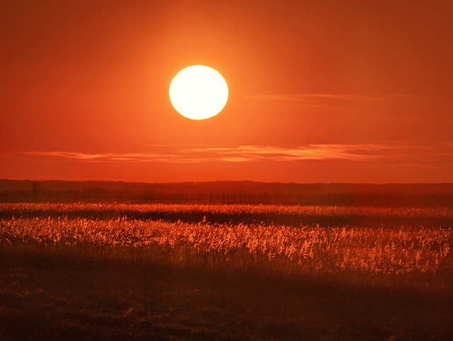Free Sunset Field photo and picture