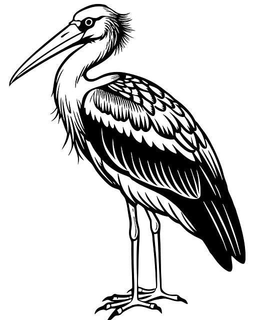 Free bird animal wildlife vector