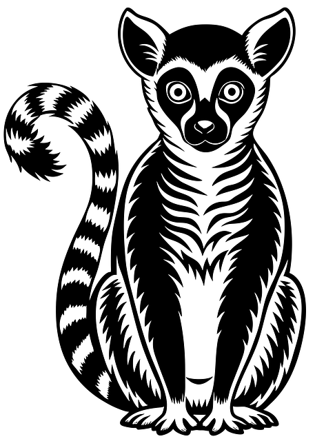 Free lemur nature wildlife vector