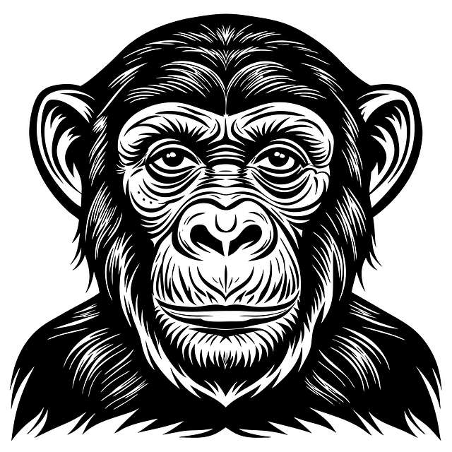 Free monkey chimpanzee wildlife vector