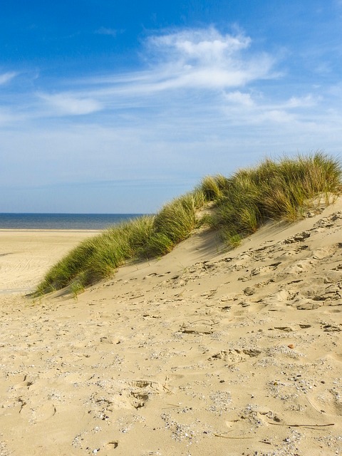 Hav, Natur, Strand, Bølger, Luft