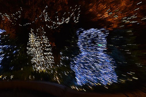 Free Christmas Light Effect photo and picture