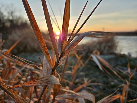Herbst, Natur, Laub, Landschaft, Fluss